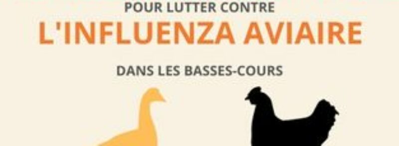 Lutte contre l’Influenza Aviaire